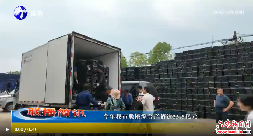 六安市新闻传媒中心工会组织正式成立
