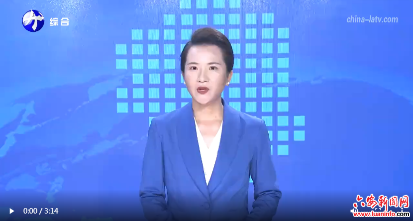 抗日烽火中的皖西脊梁