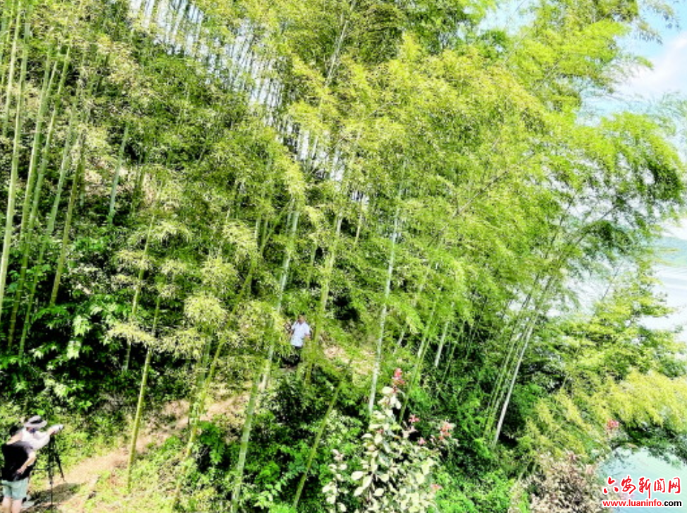 a7f2621e0d924a52942d927322febd1d.png