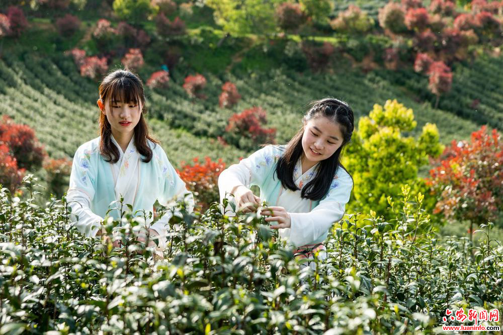 1a372d1383c14d65aa092d0d70be89ba.jpeg 1a372d1383c14d65aa092d0d70be89ba.jpeg