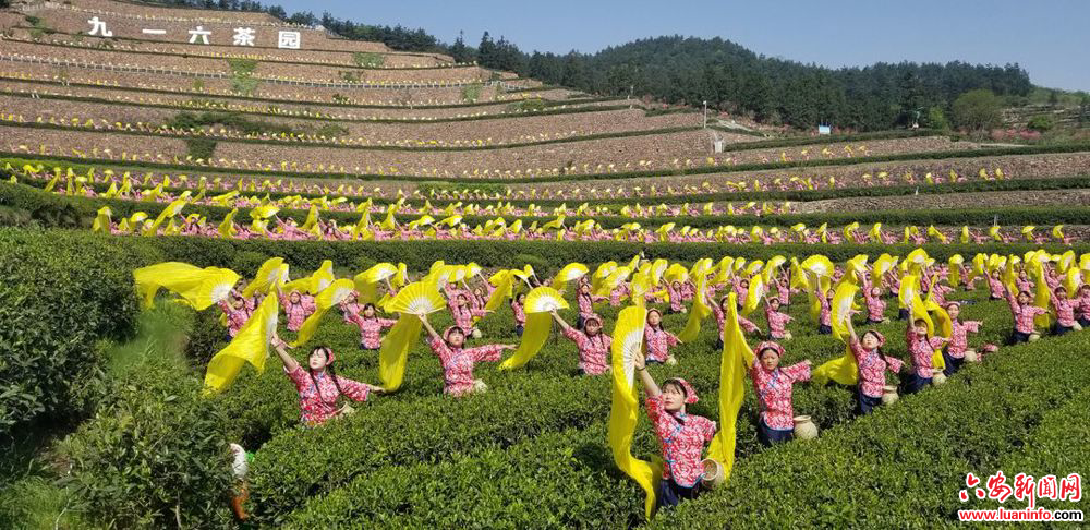 a981e4cf049b46cb991152ad9ebb7654.jpeg a981e4cf049b46cb991152ad9ebb7654.jpeg