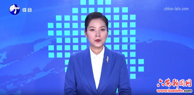 六安：一只鹅“链”出大产业