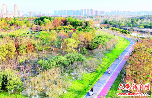 秋景如画生态惠民