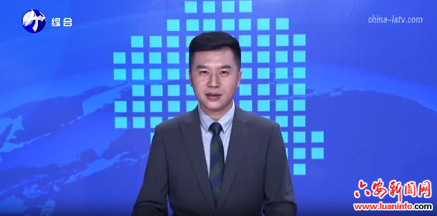 舒城县汤池镇方畈村：精准施策产业兴