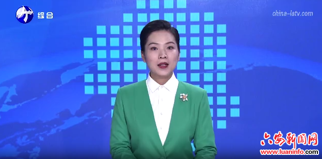 六安：绘就高质量就业全景图 筑牢民生幸福根基