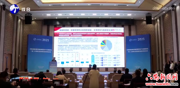  安徽省新能源及智能网联汽车产业发展协会金融专委会首场活动在金寨举办