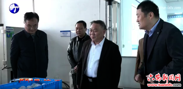 张守锐到霍山县联系走访市人大代表