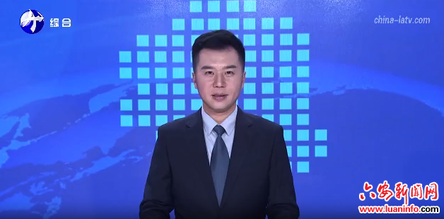 我市依托资源优势打造“六安油茶”金名片