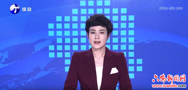 叶集：“‘集’速办”助力企业高效安心发展