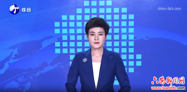 霍山：厚植营商沃土 护航企业发展