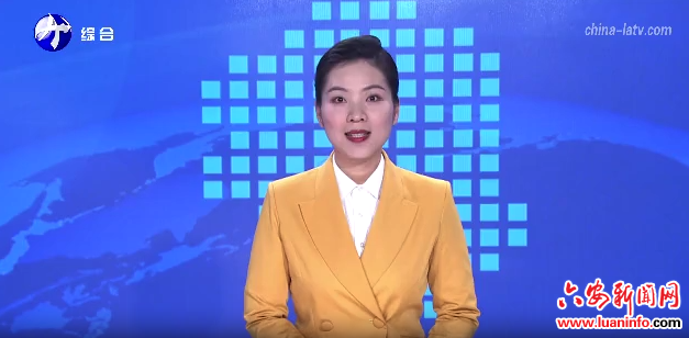 市政协委员张锐：一帧一画传薪火 一字一策系民生