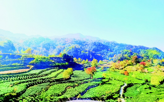 日出东方有高山