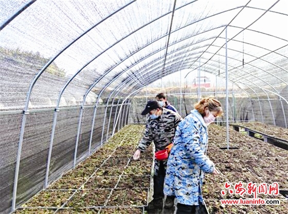 战疫战贫涌春潮
